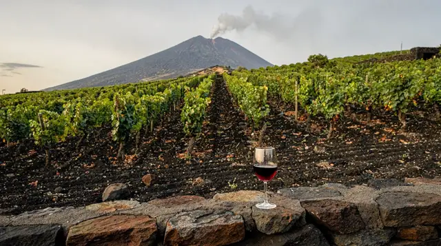 Etna DOC: the wines of the volcano