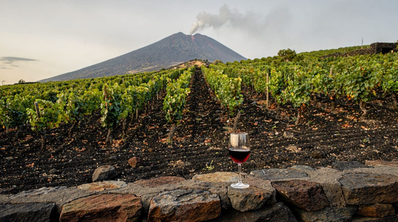 Etna DOC: the wines of the volcano