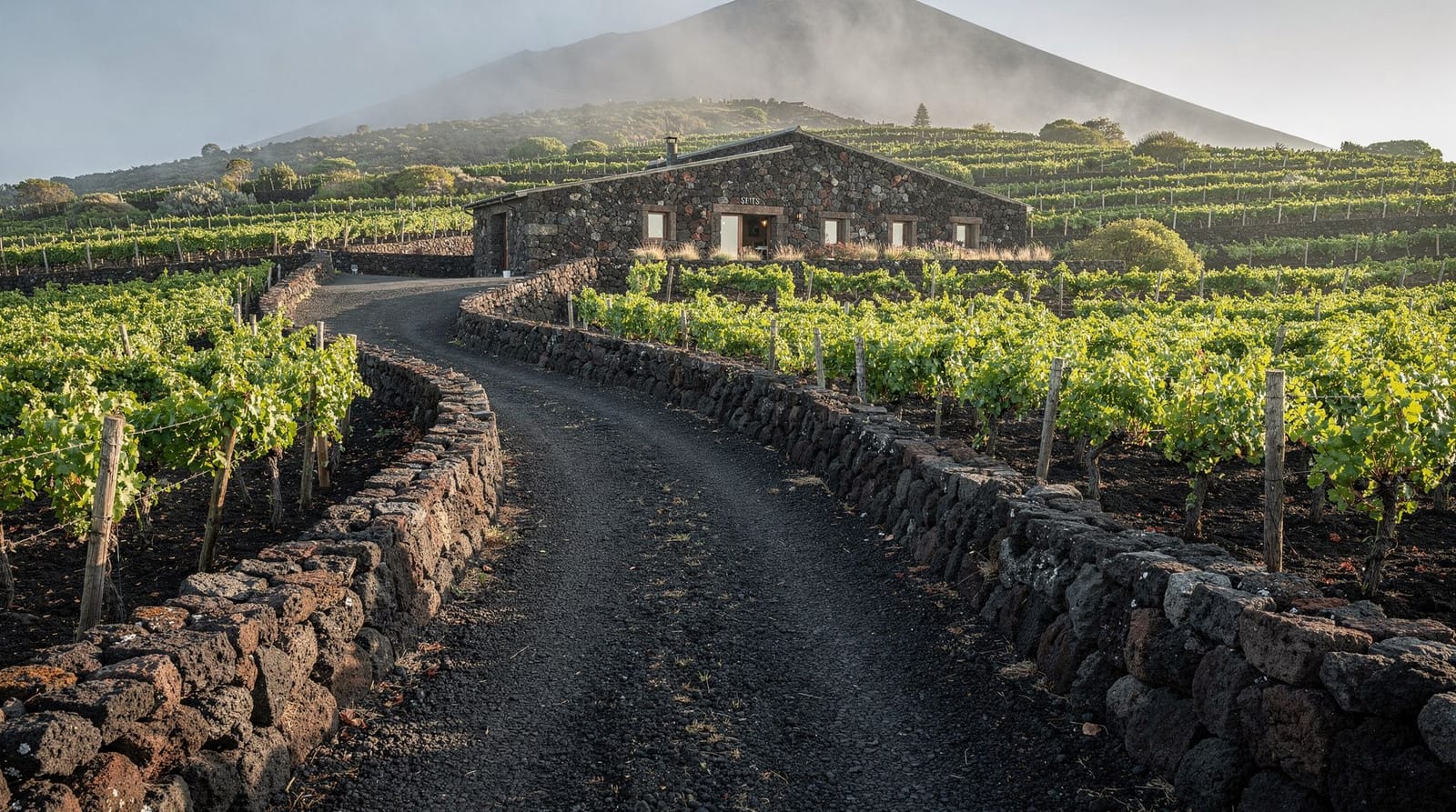 The Etna wine road: Contrade and cantine
