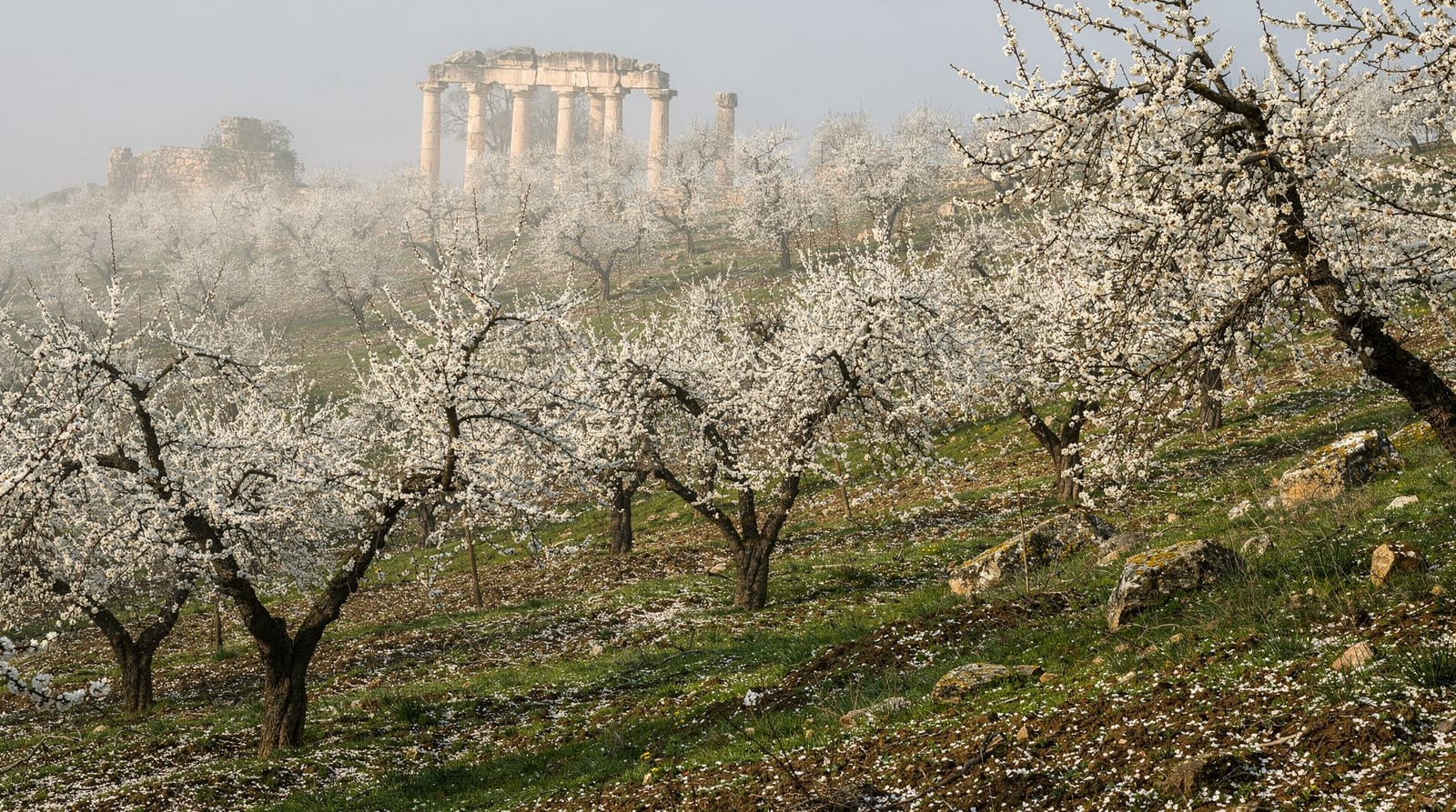 Sicily in spring