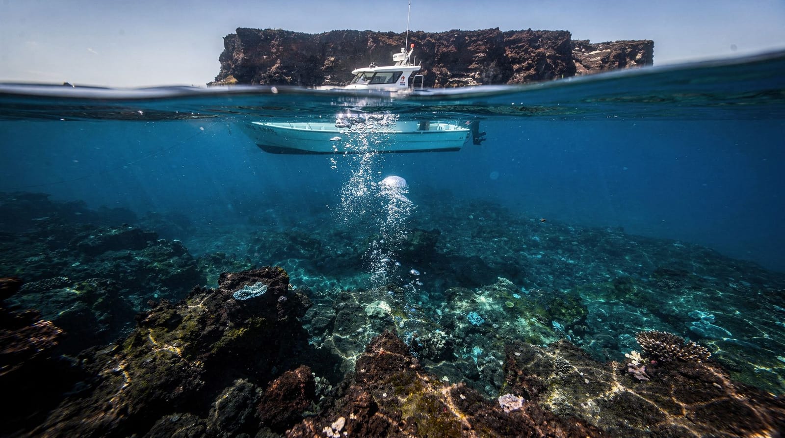 Ustica, Sicily's first marine reserve